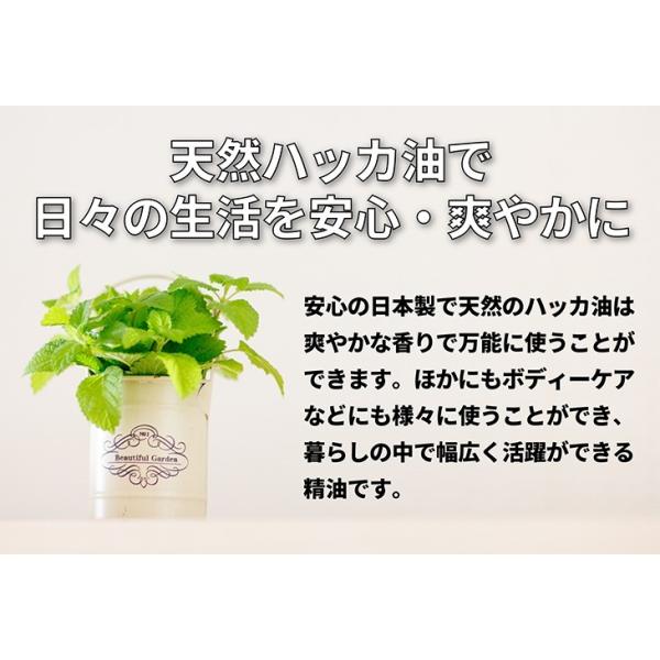 Sin 日本製 天然ハッカ油 ハッカオイル スプレー 30ml 2本 アロマオイル 入浴剤 虫よけスプレー ゴキブリ対策に Buyee Buyee Japanese Proxy Service Buy From Japan Bot Online