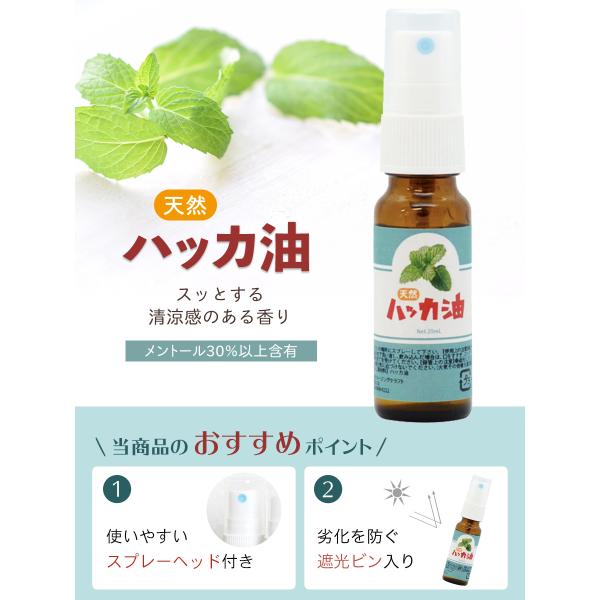 日本製 天然ハッカ油 ハッカオイル 精油 ml スプレー 2本 マスク アロマオイル 入浴剤 虫よけスプレー ゴキブリ コウモリ 対策 ハッカ油スプレー Hakkaspray 2 雑貨イズム 通販 Yahoo ショッピング
