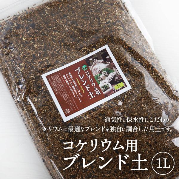 品質、配合にこだわったコケリウム用のブレンド用土です。傾斜なども作りやすい保水性・通気性に優れており、非常に使いやすく仕上げています。ピートモスはある程度ふるいにかけ、大きな粒は混ざらないようにしています。