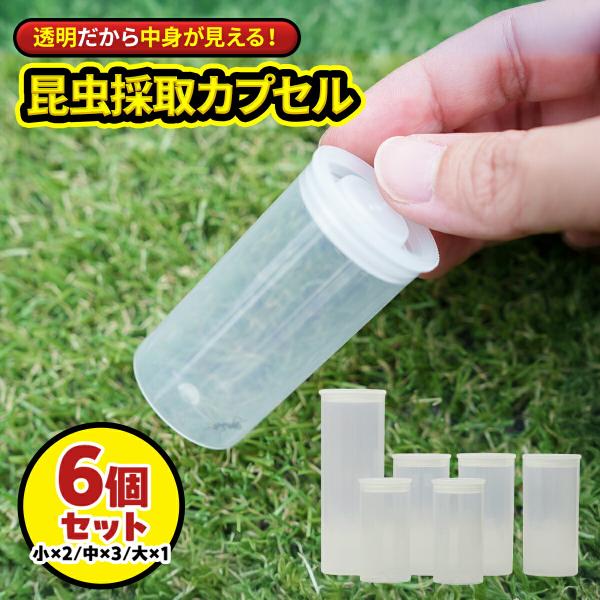 説明 ＼夏の昆虫採集・観察に／透明カプセル6個セット【3サイズ入り】SMILE PET CLUBの透明カプセル6個セットは、3サイズ入っていて用途に合わせて使い分け可能。透明で観察しやすい！夏休みの昆虫採集にオススメです。◎商品スペック・小...