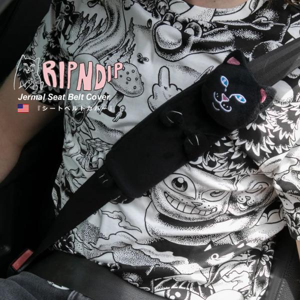 b-fujiyama_rdat147