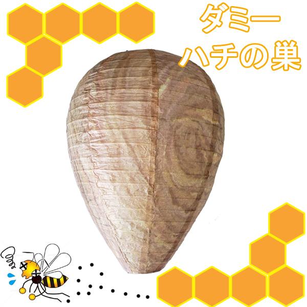 [Release date: July 1, 2024]★送料無料（※メール便発送になります）★配送の日時指定は出来ません。お届には地域により2〜10日(沖縄北海道含む) ほどかかります。殺虫剤を使うよりも人間への影響が少なく、安全性も高い...