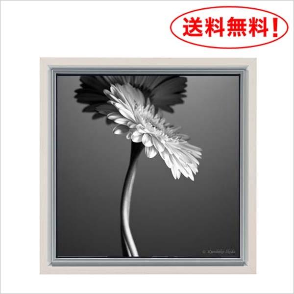 池田邦彦　スタイリッシュフラワー 写真家 池田邦彦 スタイリッシュフラワー20 額付 フォトポスター