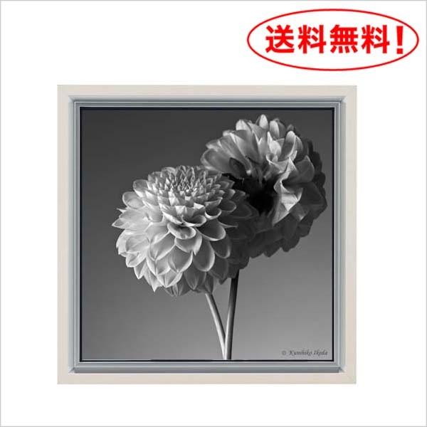 写真家 池田邦彦 スタイリッシュフラワー22 額付 フォトポスター