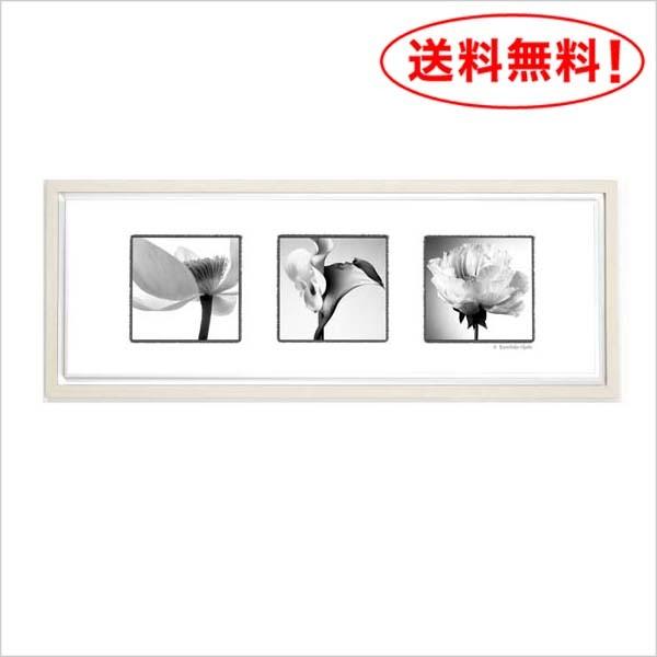 写真家 池田邦彦 スタイリッシュフラワー27 額付 フォトポスター