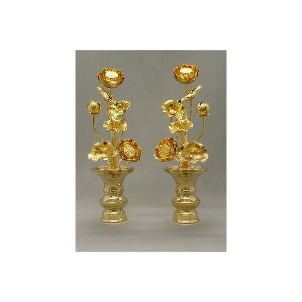   {bL TV{ƉԗR̂P΃Zbgij