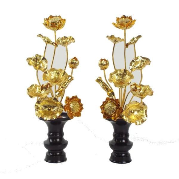  ԂVPP{{bLƉԗ3.5̂P΃Zbg^JiFj