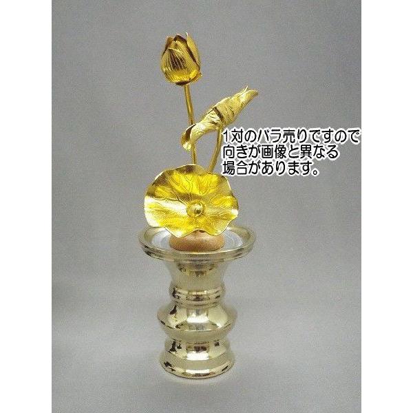 ԃZbg ԗ 2.5 1ƏԂR{1̃Zbg