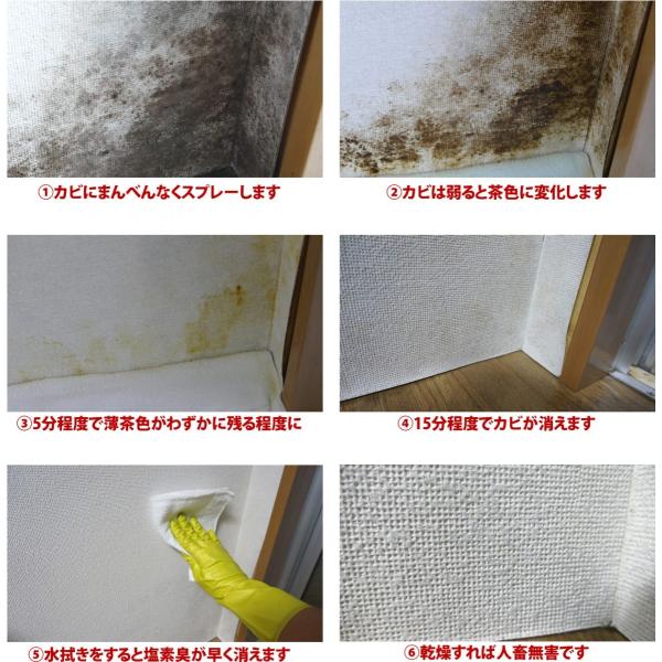 カビ取り感動レビュー1 000件超 カビホワイト 強力除去スプレー 壁紙 ユニットバス 土壁 珪藻土のカビ強力除去 カビ取り剤 1 3か月カビ防止効果 03kabi Buyee Buyee 日本の通販商品 オークションの代理入札 代理購入