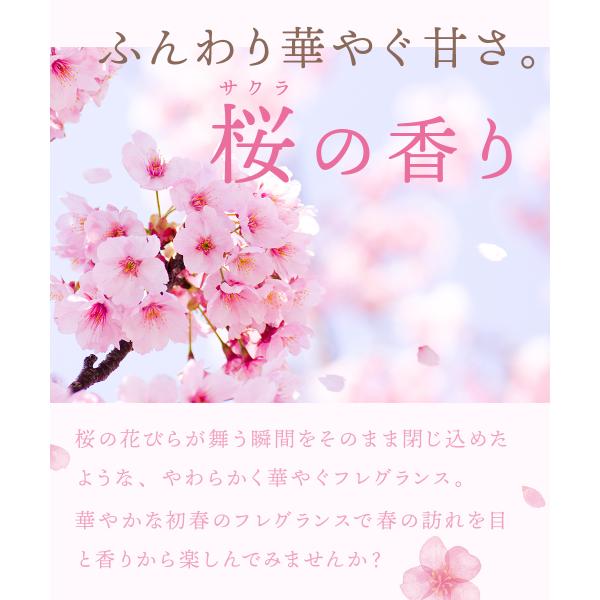 b-proshop_1000002474_2_d_20251205155642