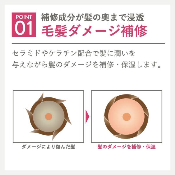 b-proshop_4582300062378_5