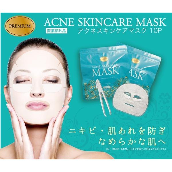 ANlXLPA}XN 򕔊Oi P10 RۃsZbgt