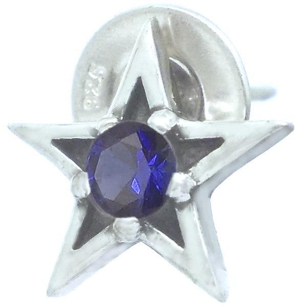 (9)Tt@CA ubN ^Cj[ X^[  Vo[ sAX