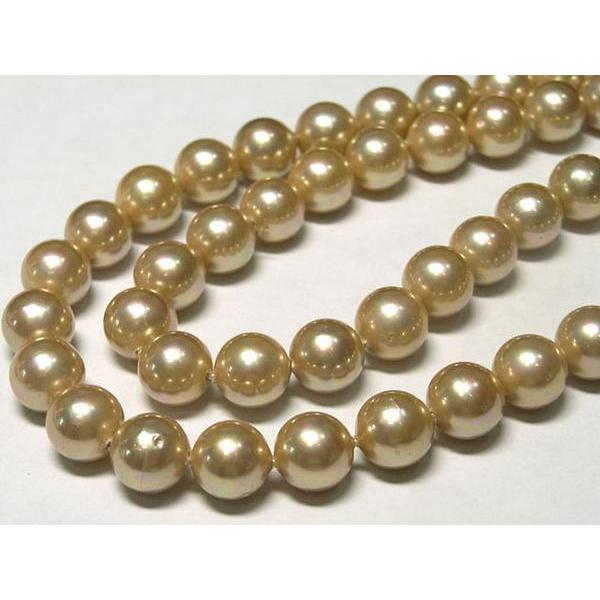 シェルパール ラウンド シャンパンゴールド 8mm 連販売 3001042☆