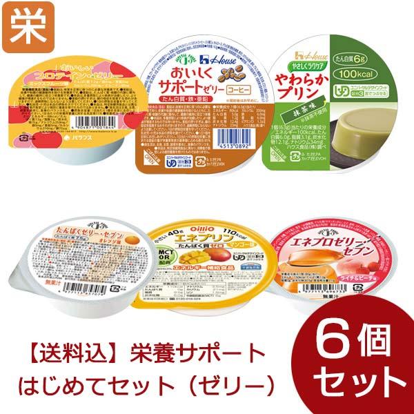 送料込】栄養サポートゼリー 6種セット（6種類各1個） : ビースタイル