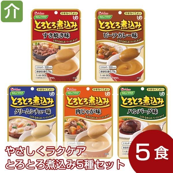介護食 かまなくてよい やさしくラクケア とろとろ煮込み 5種セット（5種類各1個）