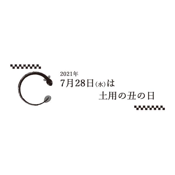 b-style-msc_91672_5