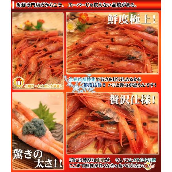 本トロ 大甘エビ500gパック スーパーじゃ買えない噂の 甘エビ ボタンエビ並に大きいんです そして Buyee 日本代购平台 产品购物网站大全 Buyee一站式代购 Bot Online