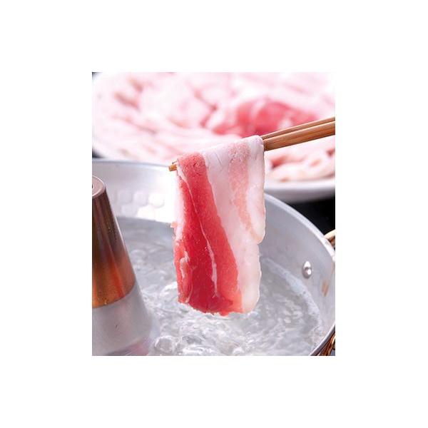 ₨jɎ̑蕨I Y؎YMtg ؂Ԃ oROO×QP