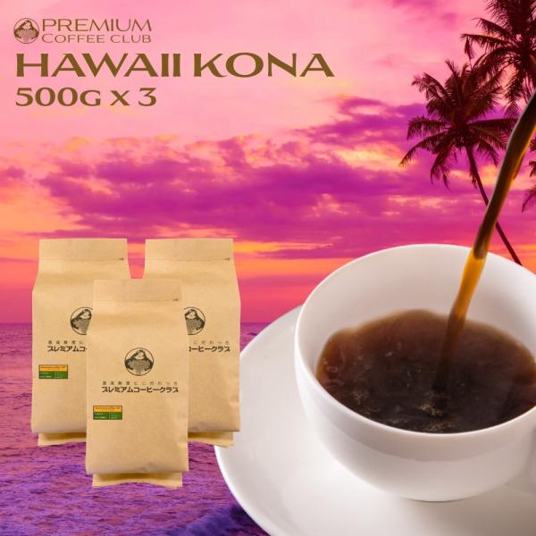 ハワイ コナコーヒー 100％ 1.5kg ( 500g x 3 ) : 最高鮮度の珈琲豆