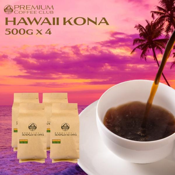 ハワイコナコーヒー 100% スタンダードレギュラー 2.0kg ( 500g x4