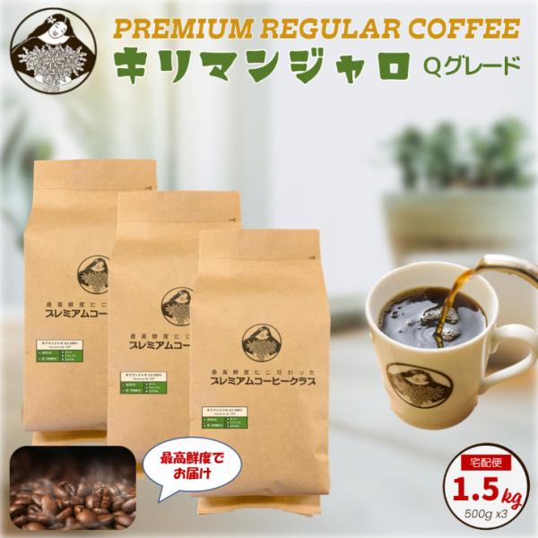 キリマンジャロ aa 1.5kg （500g x 3）タンザニア コーヒー豆 粉