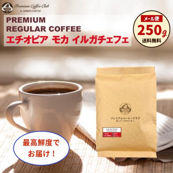 コーヒー豆 エチオピアモカ イルガチャフェ レギュラー 250g 自家焙煎 出来立て 焼きたて 最高鮮度でお届け お試し メール便 送料無料