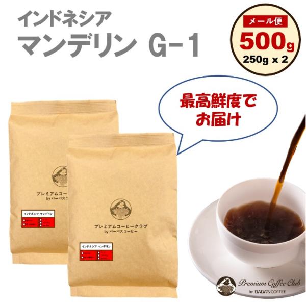 コーヒー豆 インドネシア マンデリン G-1 500g ( 250g x 2 ) 自家焙煎