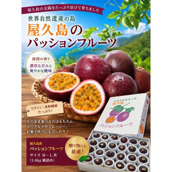 屋久島産パッションフルーツ 1.6kg入