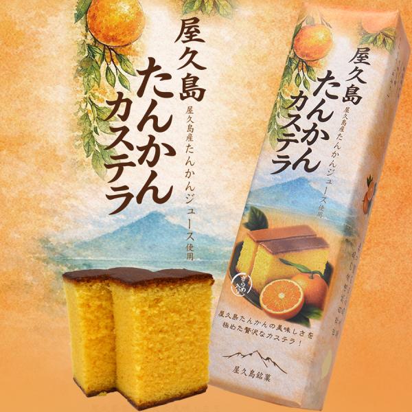 屋久島たんかんカステラ10切
