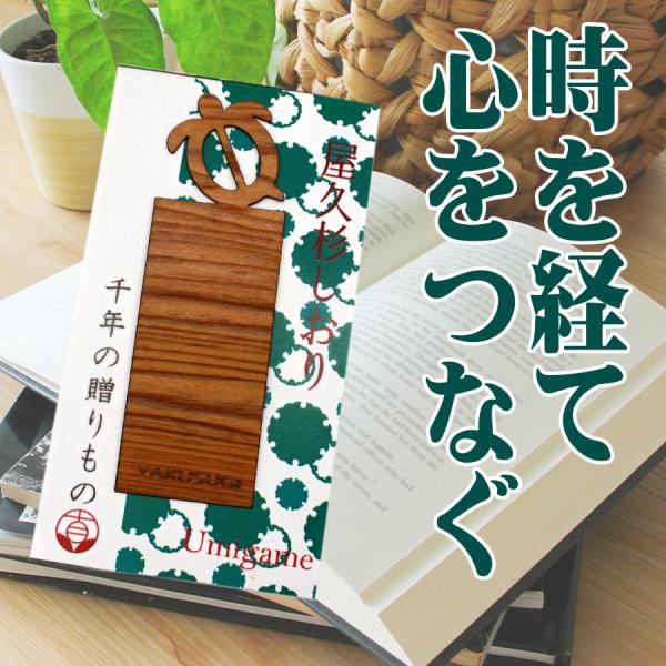 屋久杉しおり Umigame