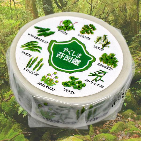 屋久島マスキングテープ やくしま苔図鑑