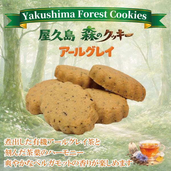 屋久島 森のクッキー アールグレイ