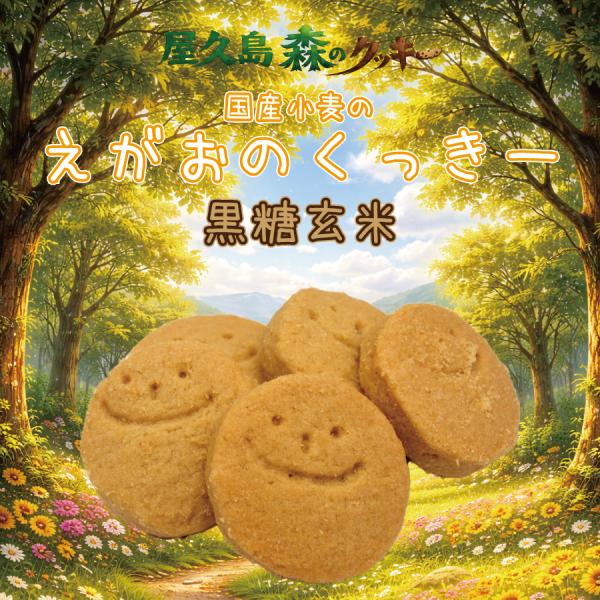 屋久島 森のクッキー えがおのくっきー黒糖玄米