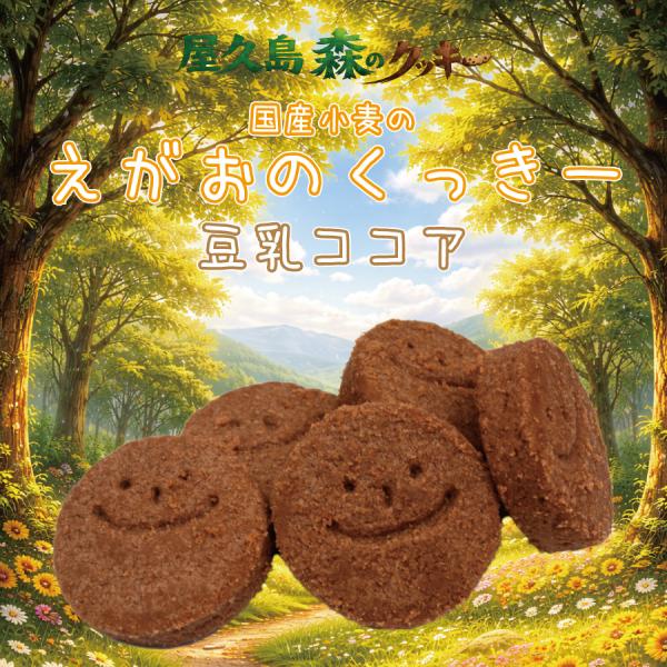 屋久島 森のクッキー えがおのくっきー豆乳ココア
