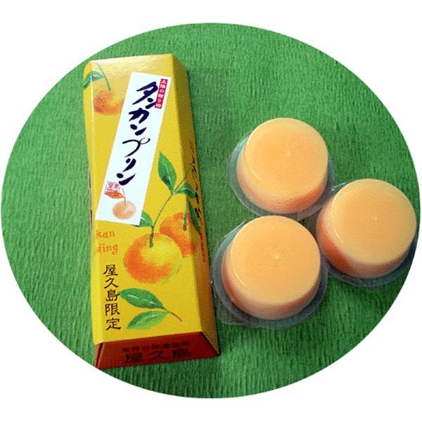 屋久島銘菓 タンカンプリン