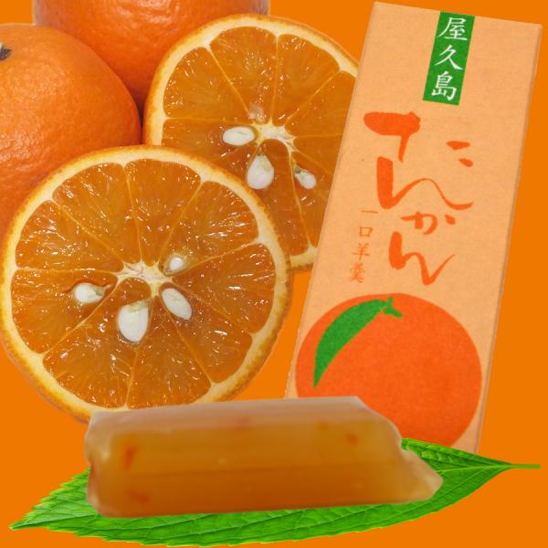 一口羊羹 屋久島たんかん : やくしま市場 - 通販 - Yahoo!ショッピング