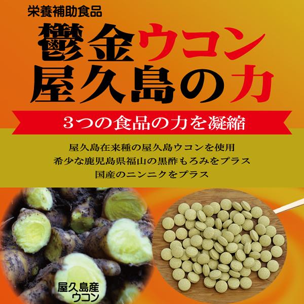 【レターパック対応】鬱金ウコン屋久島の力