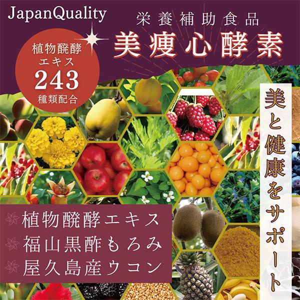 美痩心酵素（びそうしん酵素）