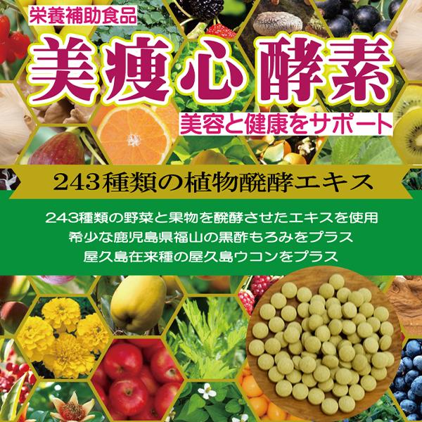 【レターパック対応】美痩心酵素（びそうしん酵素）