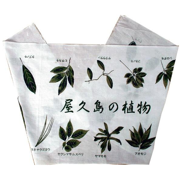 屋久島の手ぬぐい 屋久島の植物