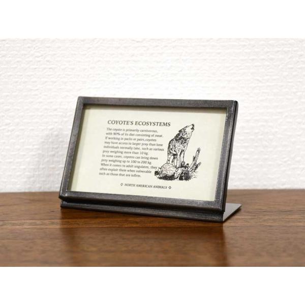 ^t[ C_XgA 7 ACA tHgt[ j[X^h CtH[V   CeA Vbvp AeB[N