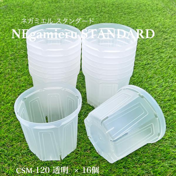 ネガミエルスタンダード 4号鉢 16鉢セット NEgamieru STANDARD 浅岡 