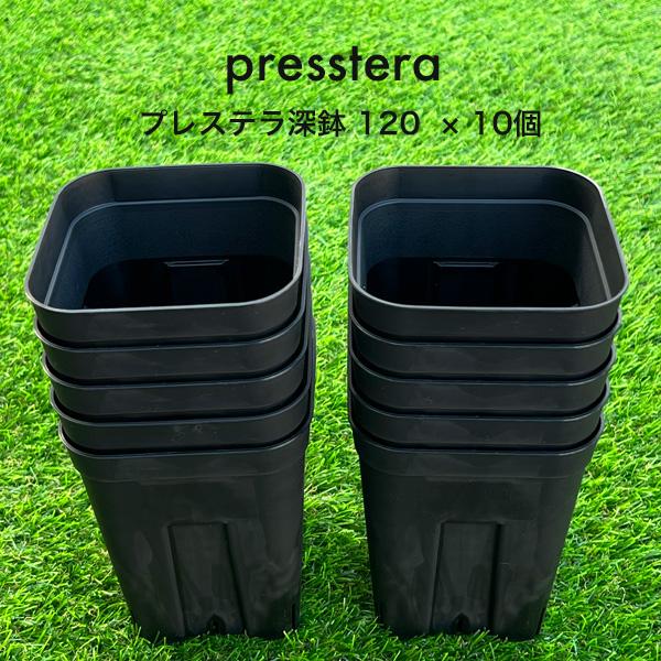 プレステラ深鉢120 ブラック 10鉢セット presstera ロングスリット鉢 スクエア型 硬質 プラスチック 鉢 日本ポリ鉢販売株式会社
