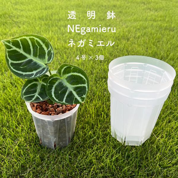 ネガミエル 4号 3個セット 透明スリット鉢 NEgamieru 浅岡園芸 ネガミエル 4号 3個セット 透明スリット鉢 NEgamieru 浅岡園芸