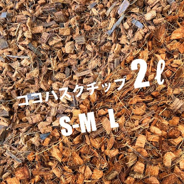 ハクスチップとはヤシの実の殻をサイコロ状のチップにした天然有機質素材です。栽培用土に混ぜる事で排水力,保肥力、保水力の向上が期待できます。マルチング材としても多くお使い頂いております。観葉植物、アンスリウム、アロカシア、モンステラ、ポトス等...