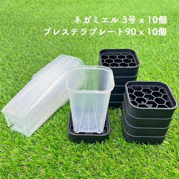 ネガミエル3号ロングスリット鉢 プレステラプレート90 各10点セット 半