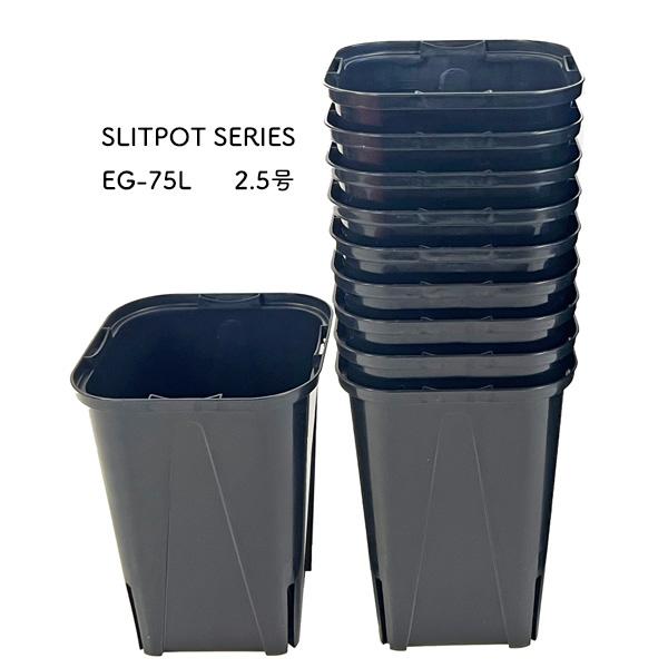 株分け、挿し木用として使用したり、多肉植物の鉢替えに適しています。大人気、ネガミエルの鉢カバーとしての使用もアリです!!-----------------------------------------こちらは2.5号サイズのスリット鉢、1...