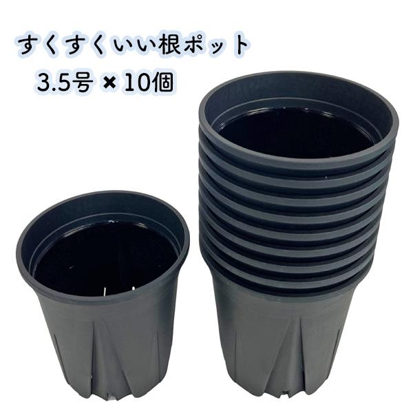 すくすくいい根ポット 3.5号 ブラック 10個セット スリット鉢 日本製 黒 プラ鉢 観葉植物 プラスチック 三晃物産