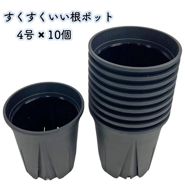 すくすくいい根ポット 4号 ブラック 10個セット スリット鉢 日本製 黒 プラ鉢 観葉植物 プラスチック 三晃物産